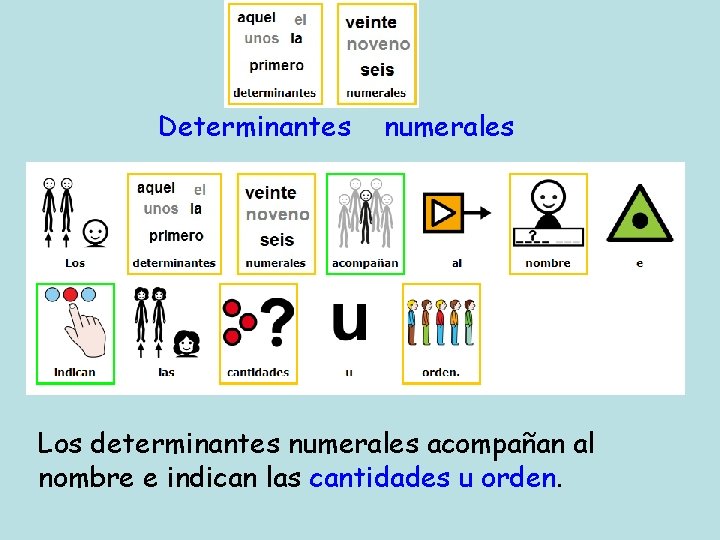 Determinantes numerales Los determinantes numerales acompañan al nombre e indican las cantidades u orden.