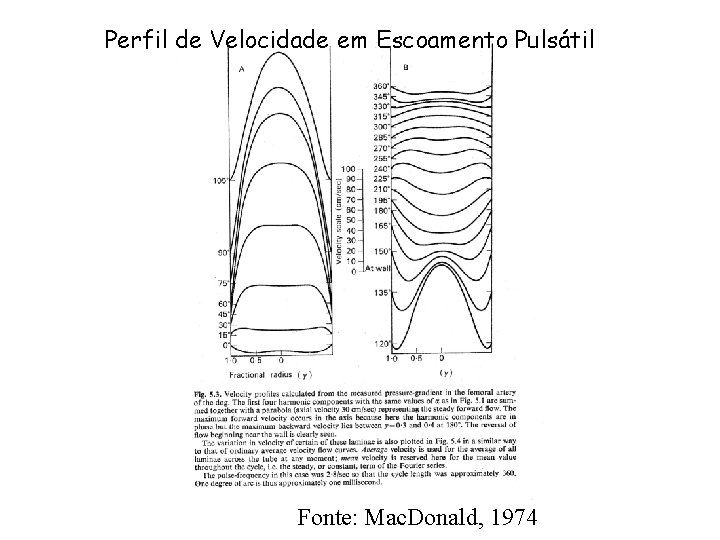 Perfil de Velocidade em Escoamento Pulsátil Fonte: Mac. Donald, 1974 