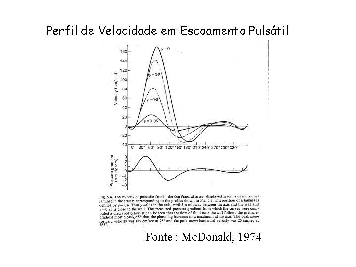 Perfil de Velocidade em Escoamento Pulsátil Fonte : Mc. Donald, 1974 