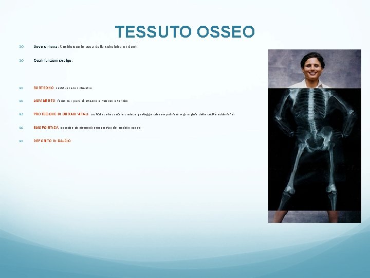 TESSUTO OSSEO Dove si trova: Costituisce le ossa dello scheletro e i denti. Quali TESSUTO OSSEO Dove si trova: Costituisce le ossa dello scheletro e i denti. Quali