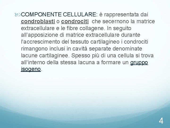 COMPONENTE CELLULARE: è rappresentata dai condroblasti o condrociti che secernono la matrice extracellulare COMPONENTE CELLULARE: è rappresentata dai condroblasti o condrociti che secernono la matrice extracellulare