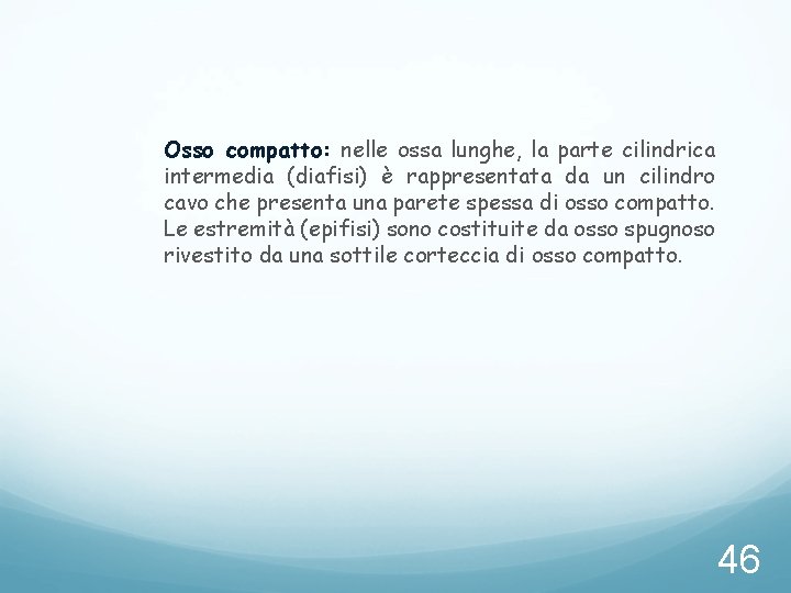 Osso compatto: nelle ossa lunghe, la parte cilindrica intermedia (diafisi) è rappresentata da un Osso compatto: nelle ossa lunghe, la parte cilindrica intermedia (diafisi) è rappresentata da un