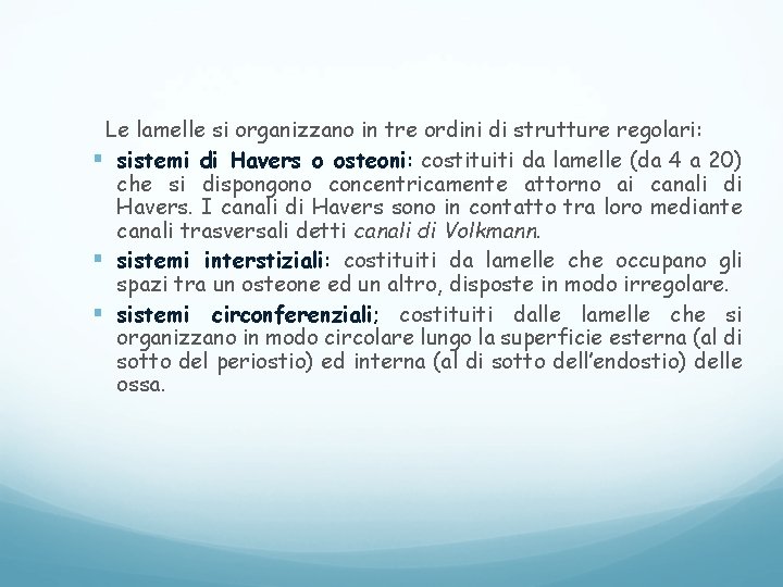 Le lamelle si organizzano in tre ordini di strutture regolari: § sistemi di Havers Le lamelle si organizzano in tre ordini di strutture regolari: § sistemi di Havers