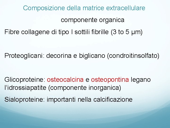 Composizione della matrice extracellulare componente organica Fibre collagene di tipo I sottili fibrille (3 Composizione della matrice extracellulare componente organica Fibre collagene di tipo I sottili fibrille (3