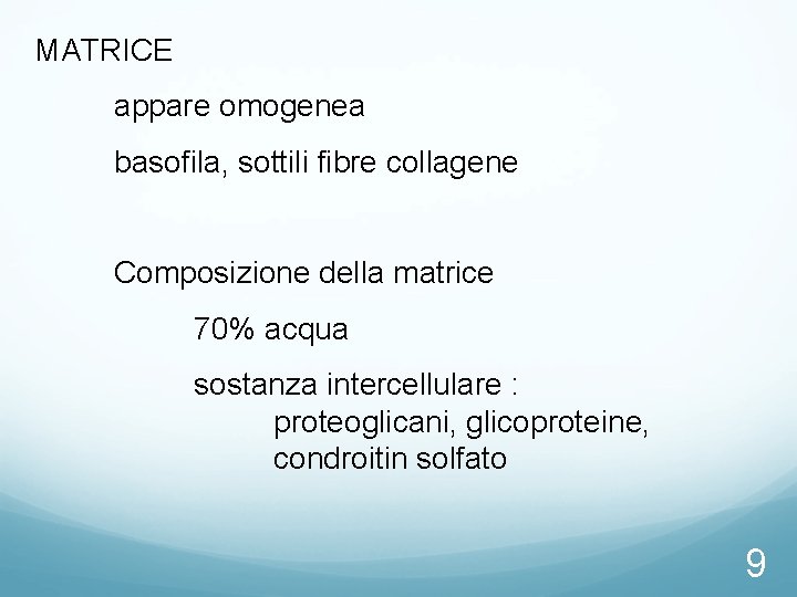 MATRICE appare omogenea basofila, sottili fibre collagene Composizione della matrice 70% acqua sostanza intercellulare MATRICE appare omogenea basofila, sottili fibre collagene Composizione della matrice 70% acqua sostanza intercellulare