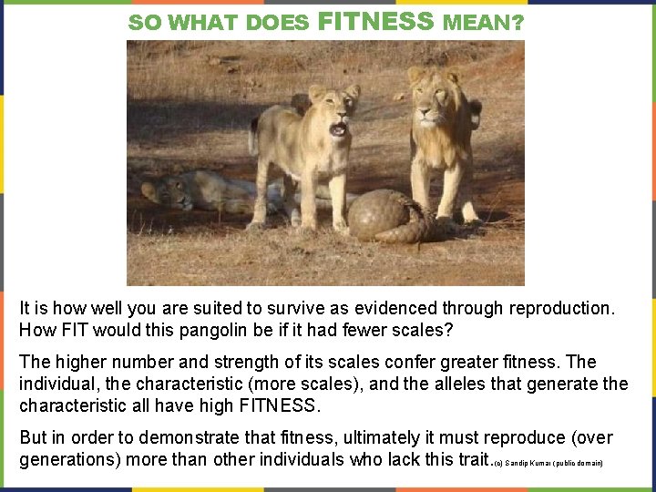 SO WHAT DOES FITNESS MEAN? It is how well you are suited to survive