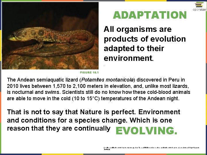 ADAPTATION All organisms are products of evolution adapted to their environment. . FIGURE 18.