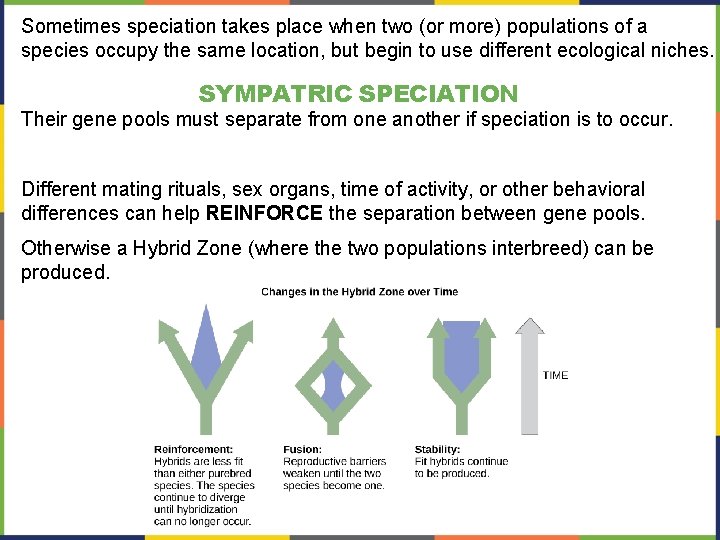 Sometimes speciation takes place when two (or more) populations of a species occupy the