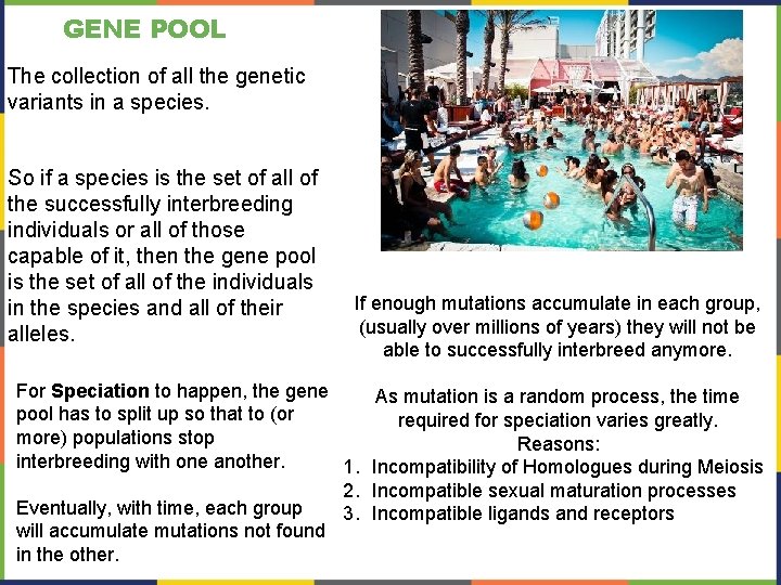 GENE POOL The collection of all the genetic variants in a species. So if