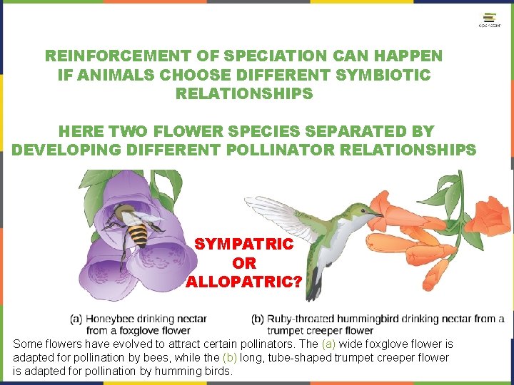 REINFORCEMENT OF SPECIATION CAN HAPPEN IF ANIMALS CHOOSE DIFFERENT SYMBIOTIC RELATIONSHIPS HERE TWO FLOWER