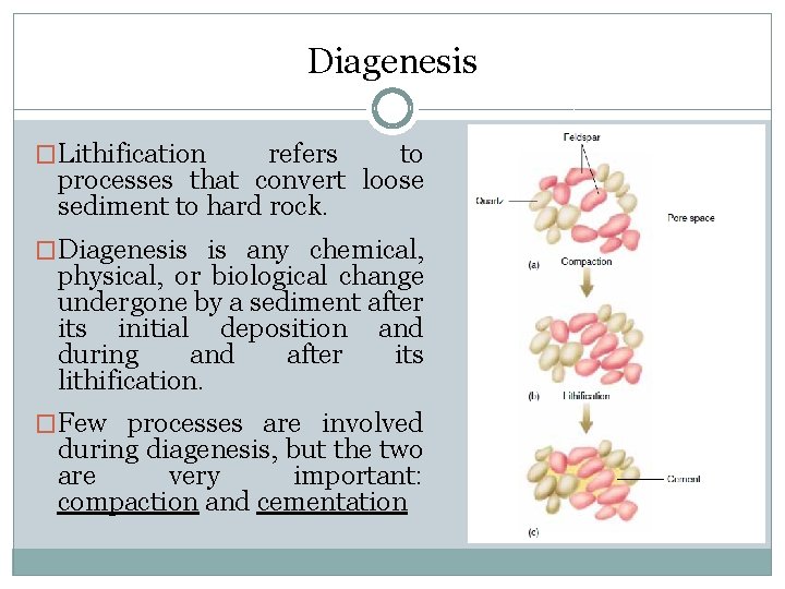 Diagenesis �Lithification refers to processes that convert loose sediment to hard rock. �Diagenesis is