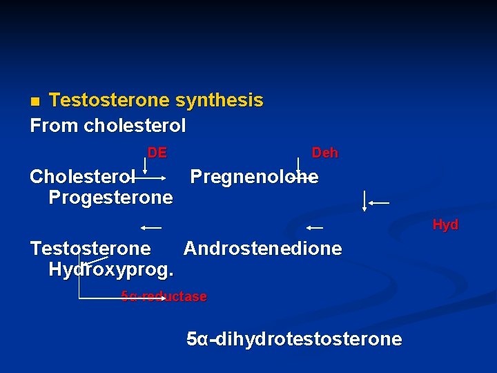 Testosterone synthesis From cholesterol n DE Deh Cholesterol Pregnenolone Progesterone Hyd Testosterone Androstenedione Hydroxyprog.
