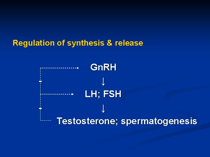 Regulation of synthesis & release - Gn. RH ↓ LH; FSH ↓ Testosterone; spermatogenesis