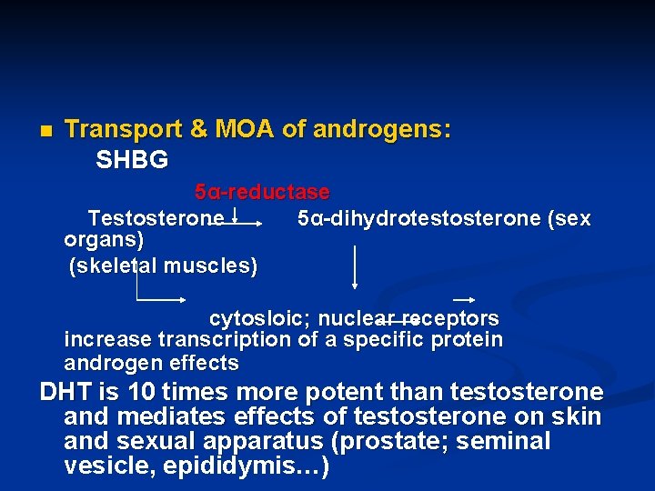 n Transport & MOA of androgens: SHBG 5α-reductase Testosterone 5α-dihydrotestosterone (sex organs) (skeletal muscles)