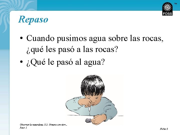 TM Repaso • Cuando pusimos agua sobre las rocas, ¿qué les pasó a las