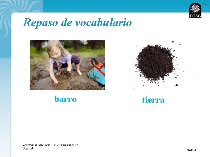 TM Repaso de vocabulario barro Observar la naturaleza, 3. 2: Pintura con tierra Paso