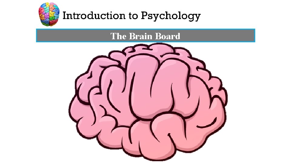 The Brain Board 