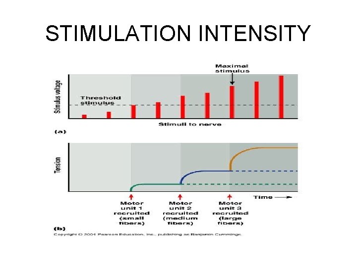 STIMULATION INTENSITY 