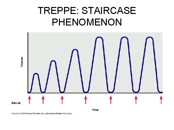 TREPPE: STAIRCASE PHENOMENON 