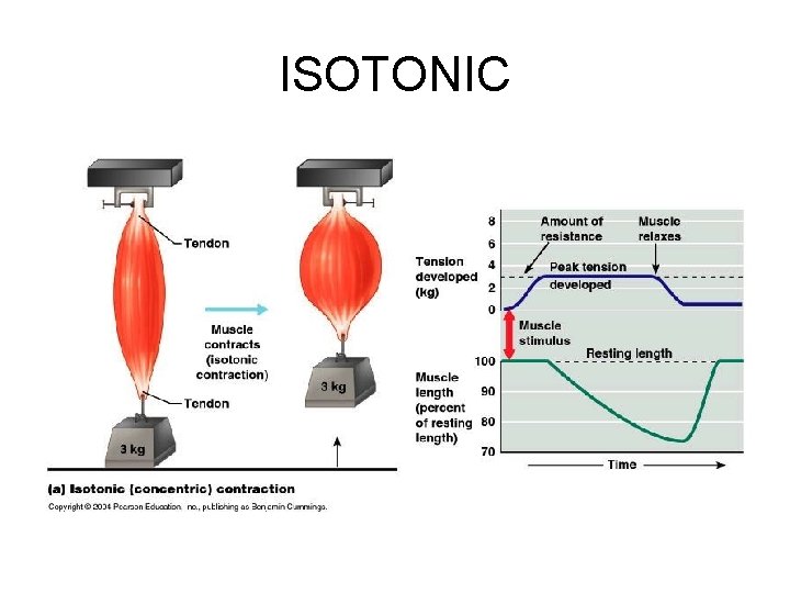 ISOTONIC 