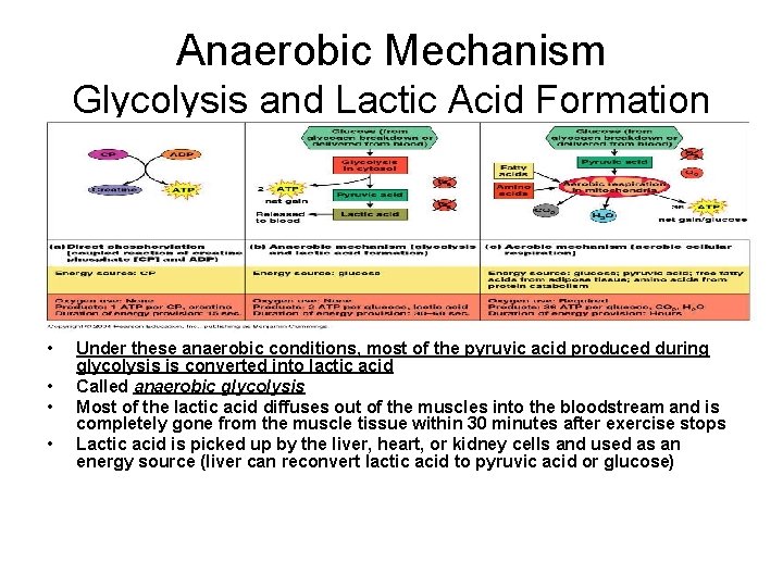 Anaerobic Mechanism Glycolysis and Lactic Acid Formation • • Under these anaerobic conditions, most