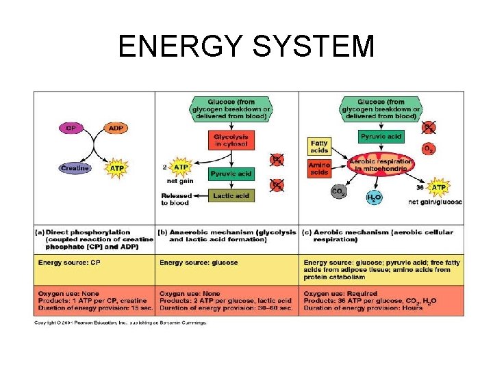 ENERGY SYSTEM 