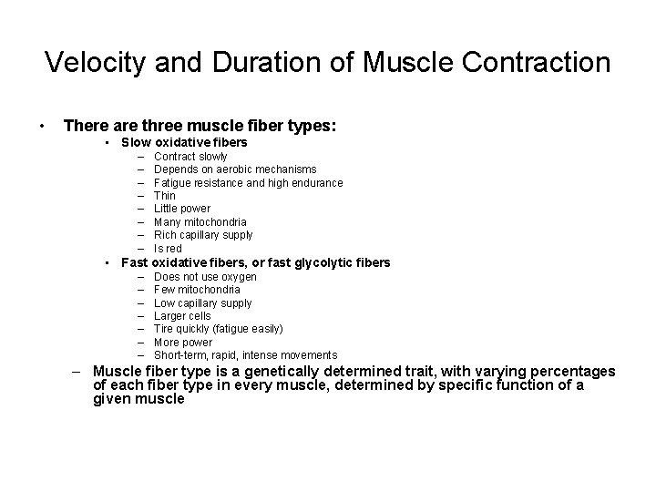 Velocity and Duration of Muscle Contraction • There are three muscle fiber types: •