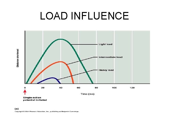 LOAD INFLUENCE 