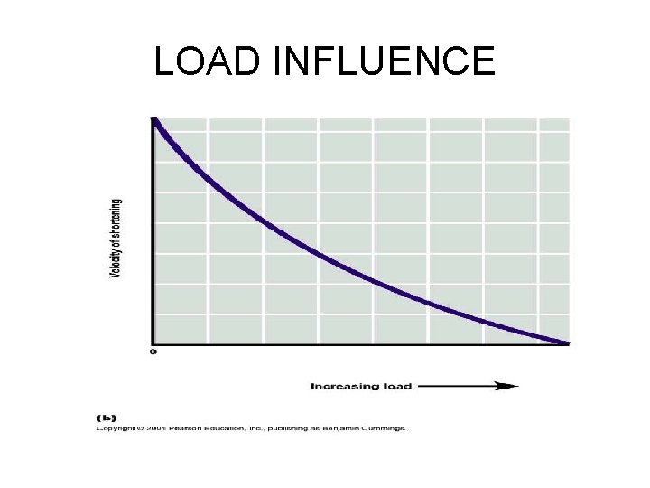 LOAD INFLUENCE 