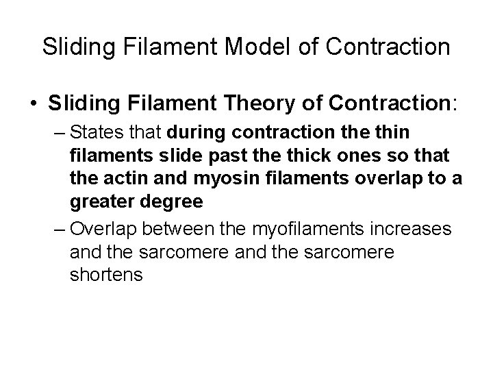 Sliding Filament Model of Contraction • Sliding Filament Theory of Contraction: – States that