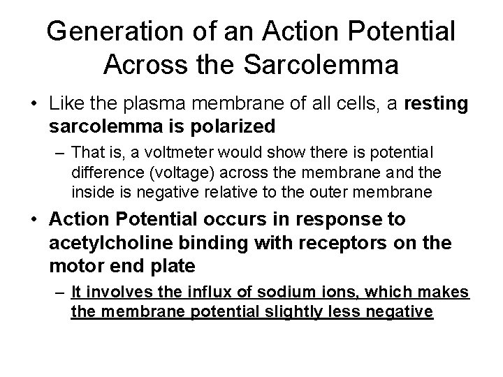 Generation of an Action Potential Across the Sarcolemma • Like the plasma membrane of