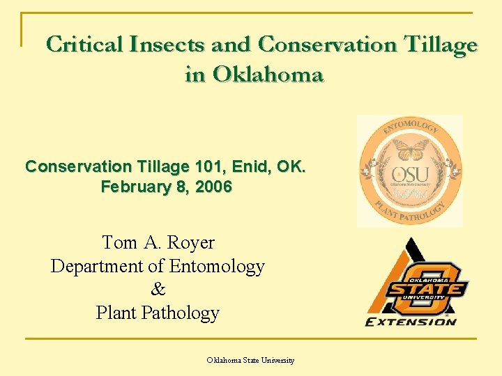 Critical Insects and Conservation Tillage in Oklahoma Conservation Tillage 101, Enid, OK. February 8,
