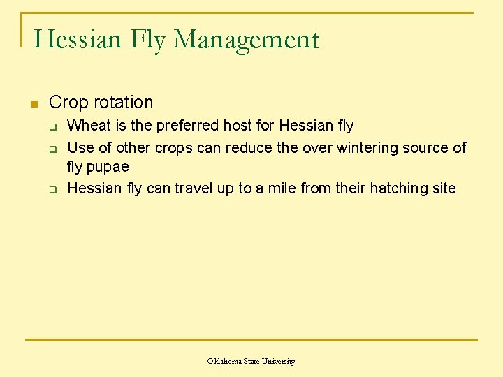 Hessian Fly Management n Crop rotation q q q Wheat is the preferred host