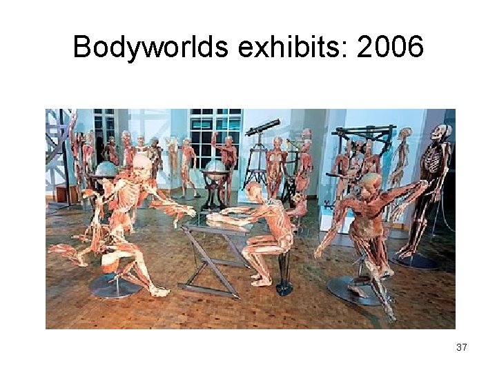 Bodyworlds exhibits: 2006 37 