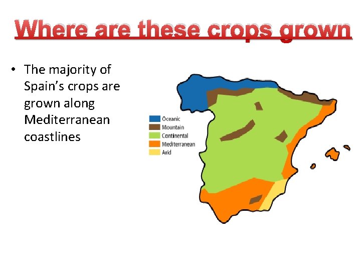 Where are these crops grown • The majority of Spain’s crops are grown along