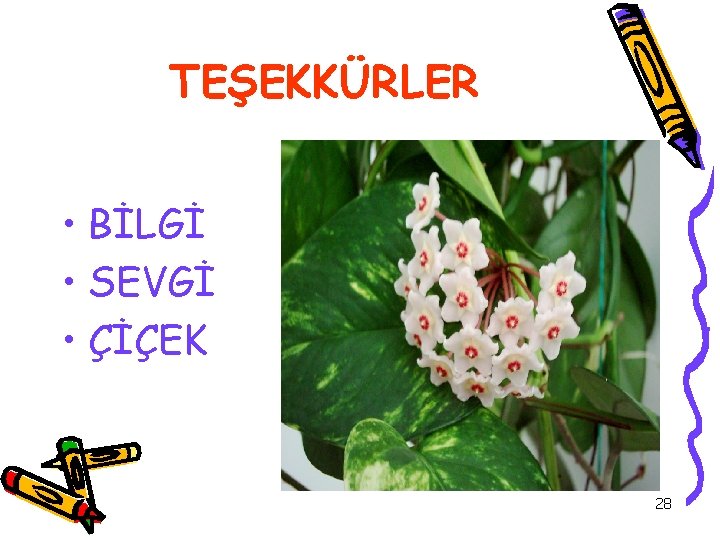 TEŞEKKÜRLER • BİLGİ • SEVGİ • ÇİÇEK 28 