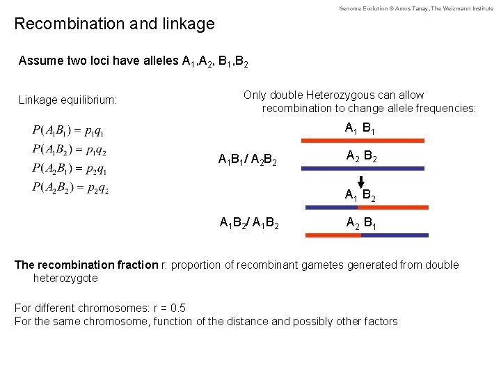 Genome Evolution © Amos Tanay, The Weizmann Institute Recombination and linkage Assume two loci