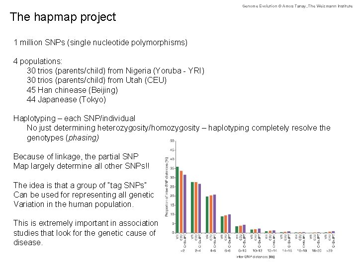 Genome Evolution © Amos Tanay, The Weizmann Institute The hapmap project 1 million SNPs