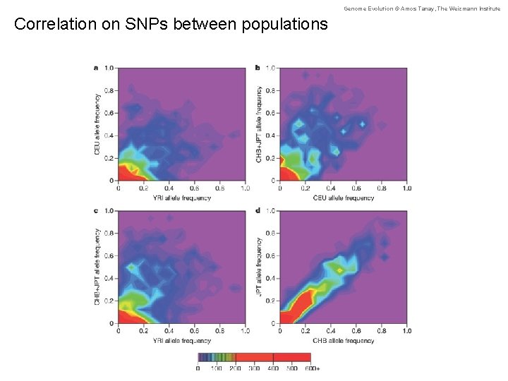 Genome Evolution © Amos Tanay, The Weizmann Institute Correlation on SNPs between populations 