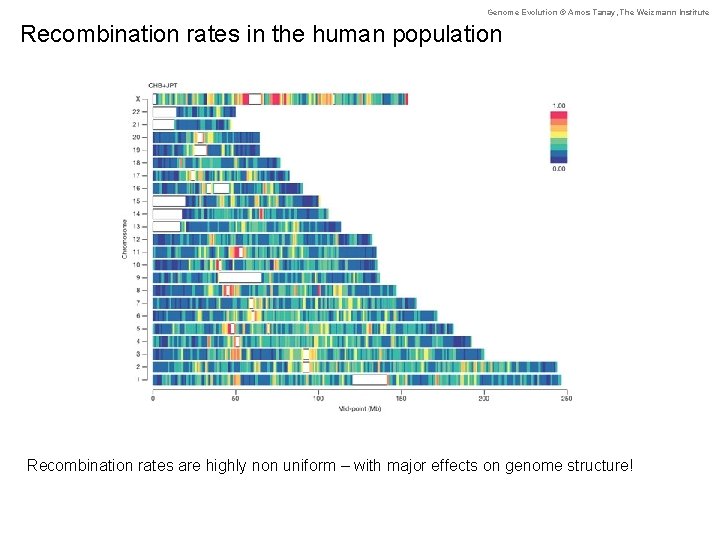 Genome Evolution © Amos Tanay, The Weizmann Institute Recombination rates in the human population
