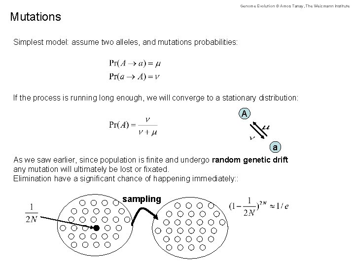 Genome Evolution © Amos Tanay, The Weizmann Institute Mutations Simplest model: assume two alleles,