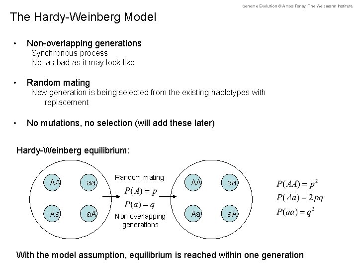Genome Evolution © Amos Tanay, The Weizmann Institute The Hardy-Weinberg Model • Non-overlapping generations