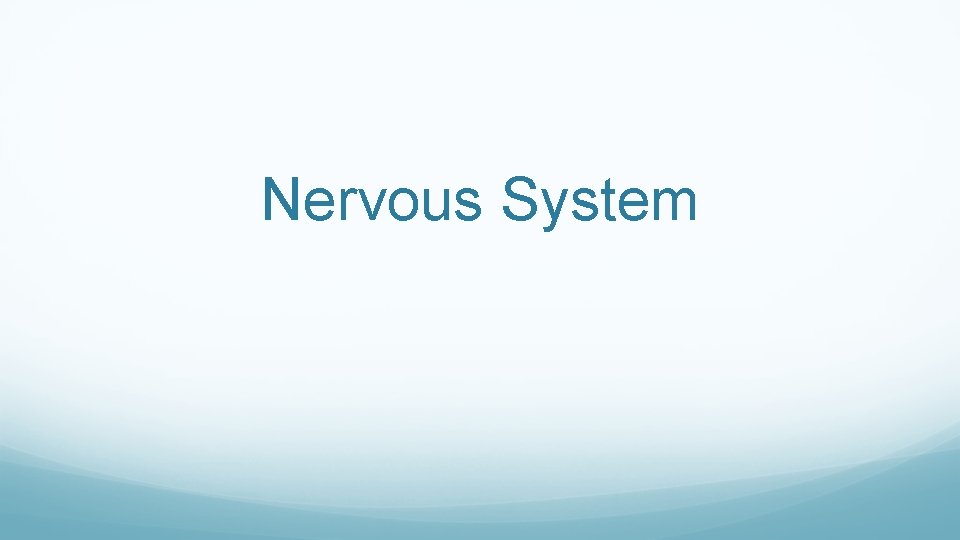 Nervous System 