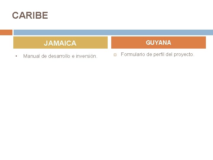 CARIBE JAMAICA • Manual de desarrollo e inversión. GUYANA Formulario de perfil del proyecto.
