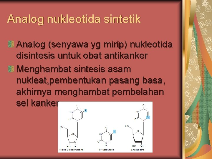 Analog nukleotida sintetik Analog (senyawa yg mirip) nukleotida disintesis untuk obat antikanker Menghambat sintesis