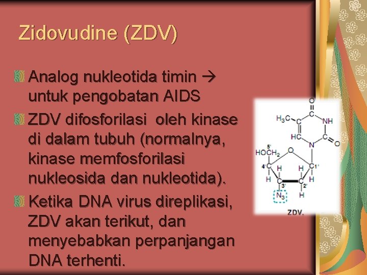 Zidovudine (ZDV) Analog nukleotida timin untuk pengobatan AIDS ZDV difosforilasi oleh kinase di dalam