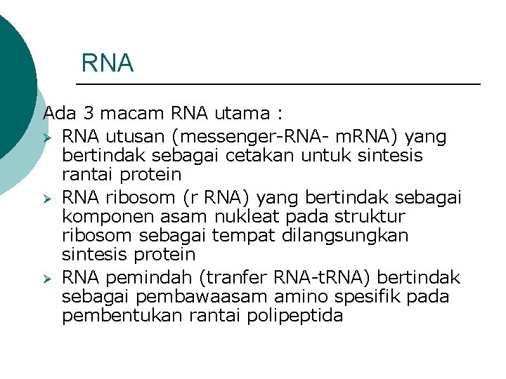 RNA Ada 3 macam RNA utama : Ø RNA utusan (messenger-RNA- m. RNA) yang