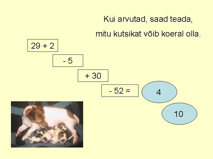 Kui arvutad, saad teada, mitu kutsikat võib koeral olla. 29 + 2 -5 +