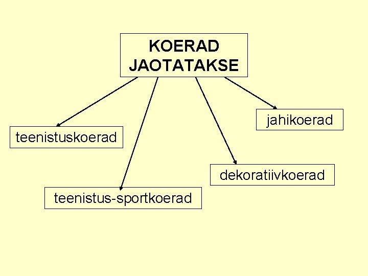 KOERAD JAOTATAKSE jahikoerad teenistuskoerad dekoratiivkoerad teenistus-sportkoerad 