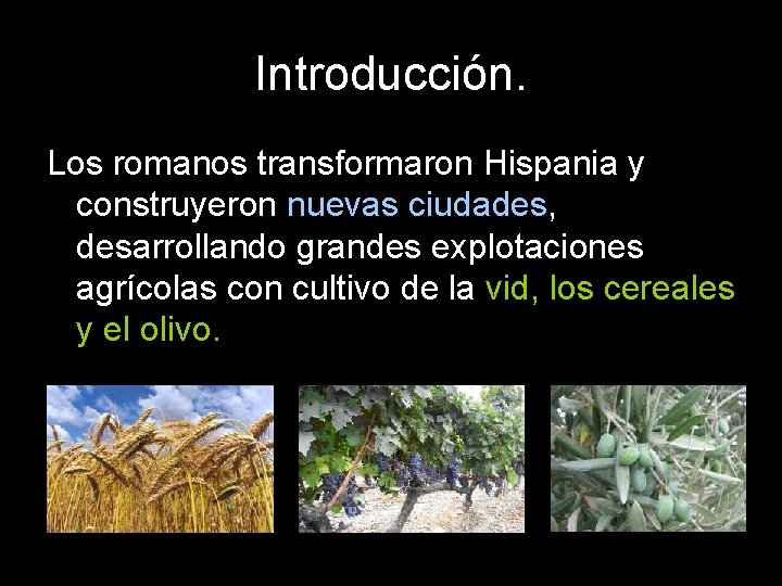 Introducción. Los romanos transformaron Hispania y construyeron nuevas ciudades, desarrollando grandes explotaciones agrícolas con